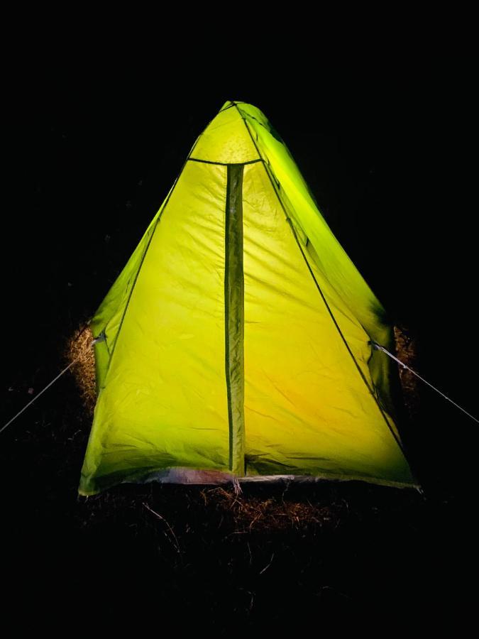 Hostel Dreamwoods A Travellers Farm Dharamsala Zewnętrze zdjęcie