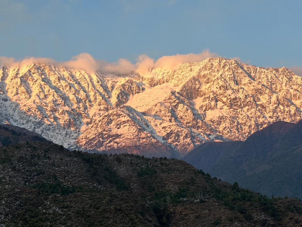 Hostel Dreamwoods A Travellers Farm Dharamsala Zewnętrze zdjęcie