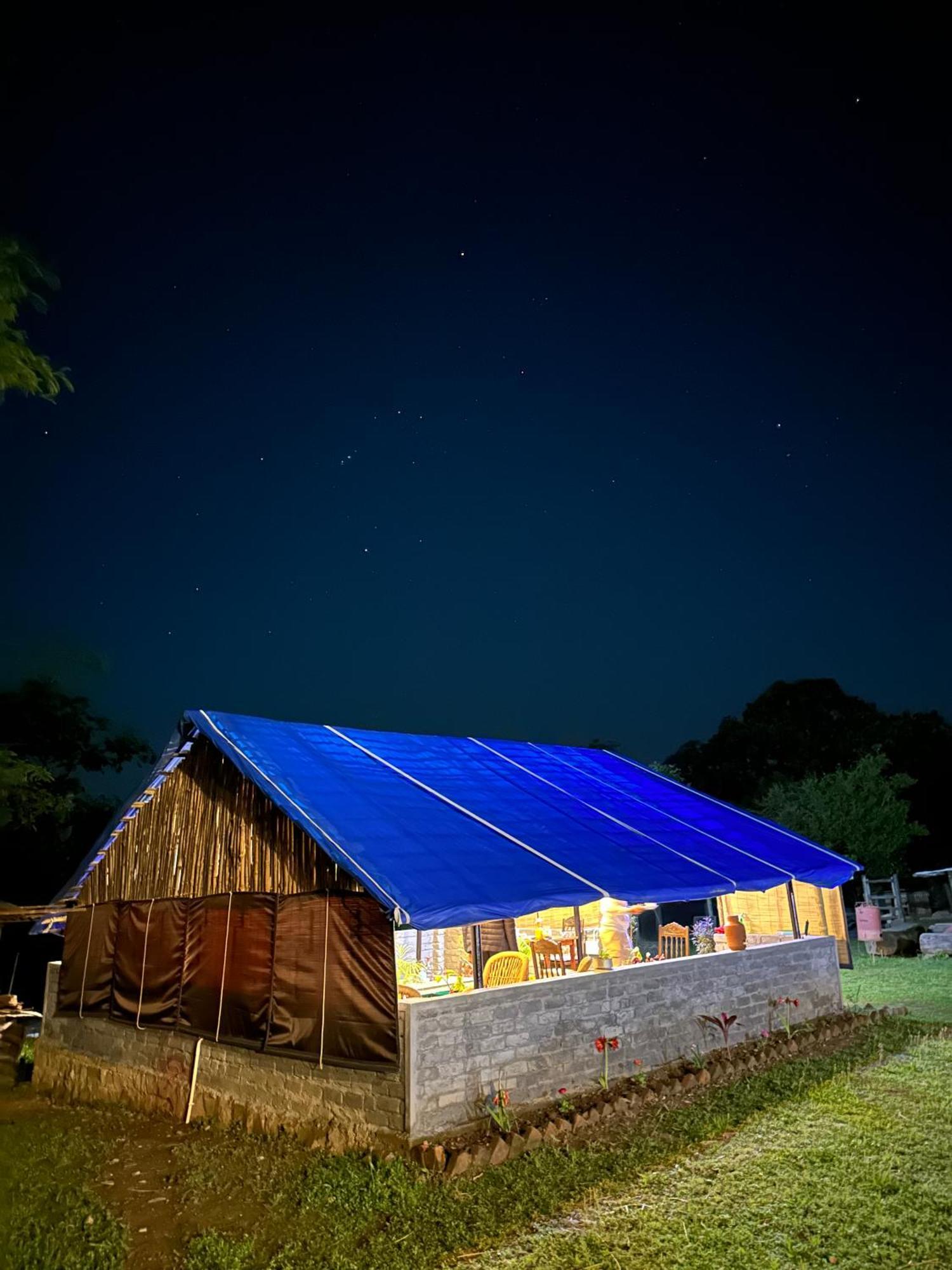 Hostel Dreamwoods A Travellers Farm Dharamsala Zewnętrze zdjęcie