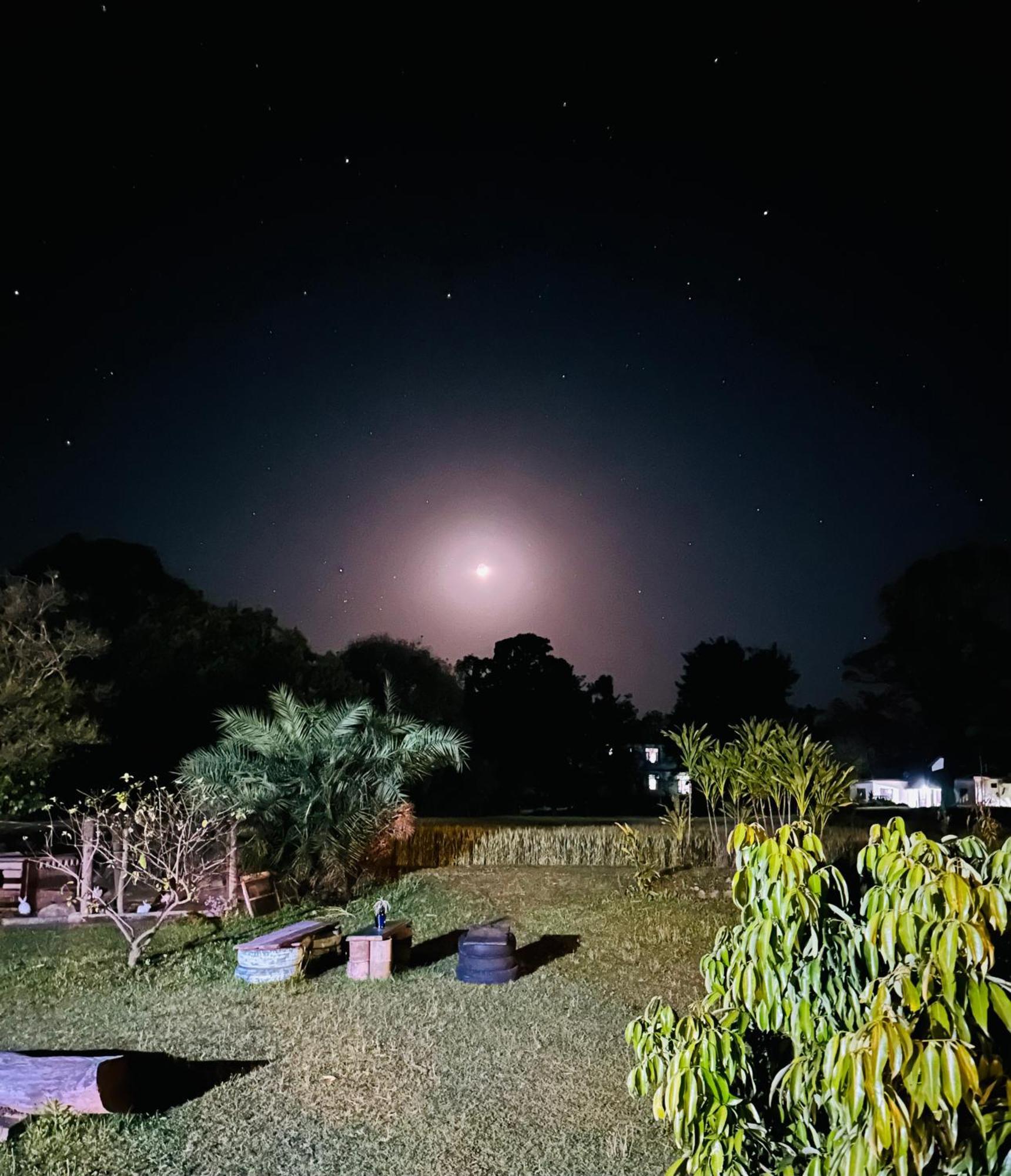 Hostel Dreamwoods A Travellers Farm Dharamsala Zewnętrze zdjęcie