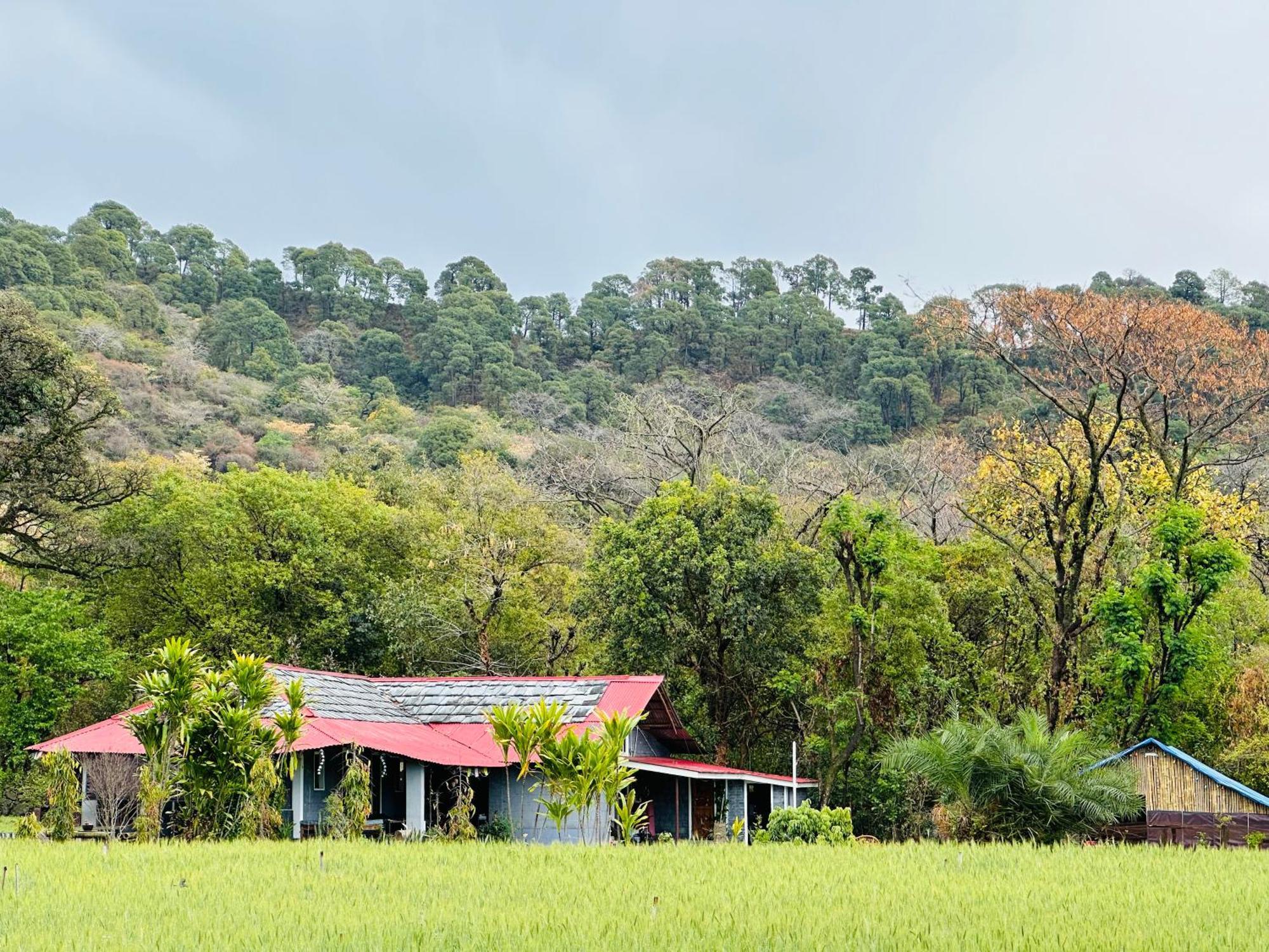 Hostel Dreamwoods A Travellers Farm Dharamsala Zewnętrze zdjęcie