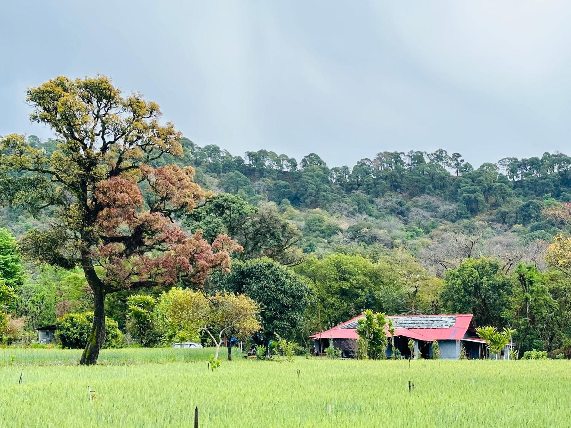 Hostel Dreamwoods A Travellers Farm Dharamsala Zewnętrze zdjęcie